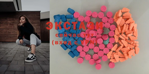 тгк Гусев