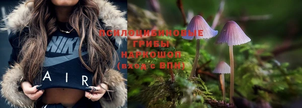 spice Гусиноозёрск