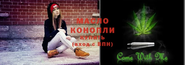 тгк Гусев