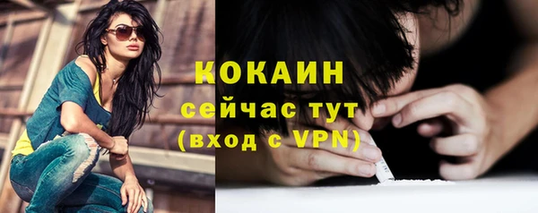тгк Гусев