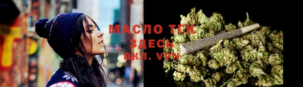 тгк Гусев