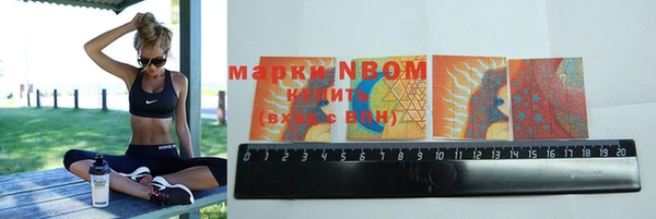 тгк Гусев