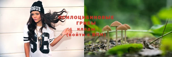 не бодяженный Гусь-Хрустальный
