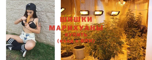 spice Гусиноозёрск