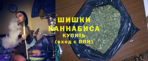 тгк Гусев
