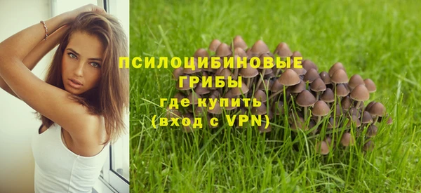 тгк Гусев