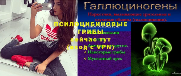 тгк Гусев