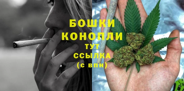 не бодяженный Гусь-Хрустальный