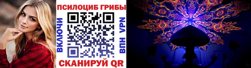 Галлюциногенные грибы мицелий  Купить  Кировград 